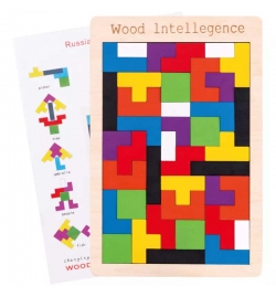 Wooden Logic Puzzle with bricks