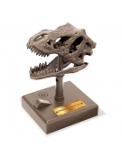 Roaring T-Rex Skull