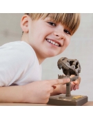 Roaring T-Rex Skull