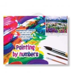 Painting by numbers on Canvas Set