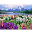 Painting by numbers on Canvas Set Landscape