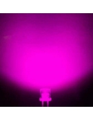 Led 5mm Fog - Pink (600mcd)