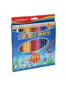 Pencils Colored Set 24pcs - Keyroad