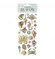Rub-On 10.16x21.6cm Songs of the Sea shells and fish - Stamperia