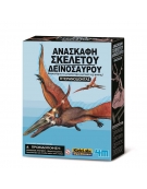 Dig A Pteranodon Skeleton