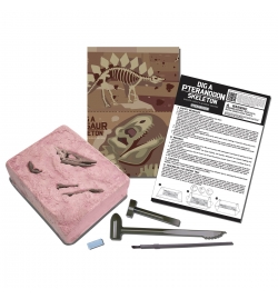 Ανασκαφή Σκελετού Δεινοσαύρου: Πτερανόδοντας