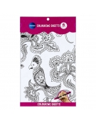 Water Colouring Sheets 6pcs Mandala Birds Centrum