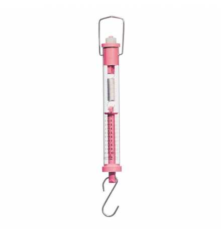 Spring Scales - Pink 100g (1N)