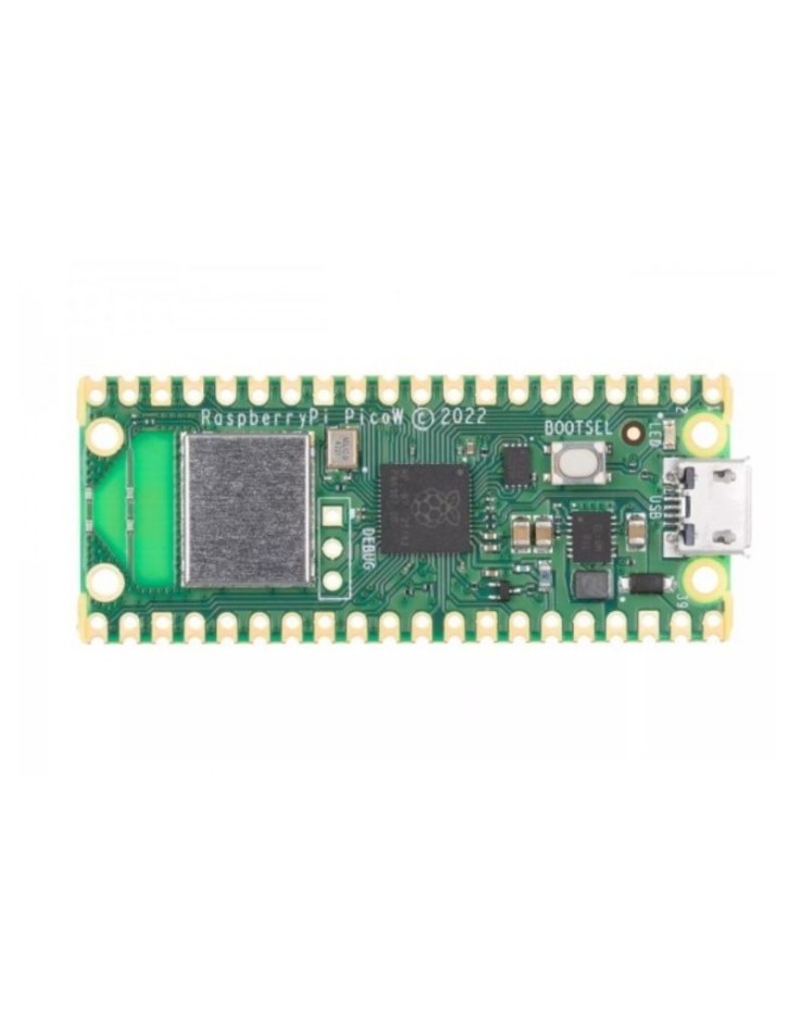 Raspberry Pi Pico W - Wireless