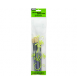 Paint Brush Set 3pcs White Bristle Stencil - Pebeo