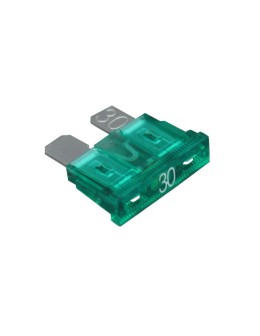 Car Fuse 30A Green