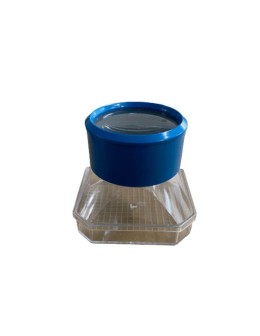 Insect Viewer Box with Magnifier & Measuring Grid (Bug Jar)