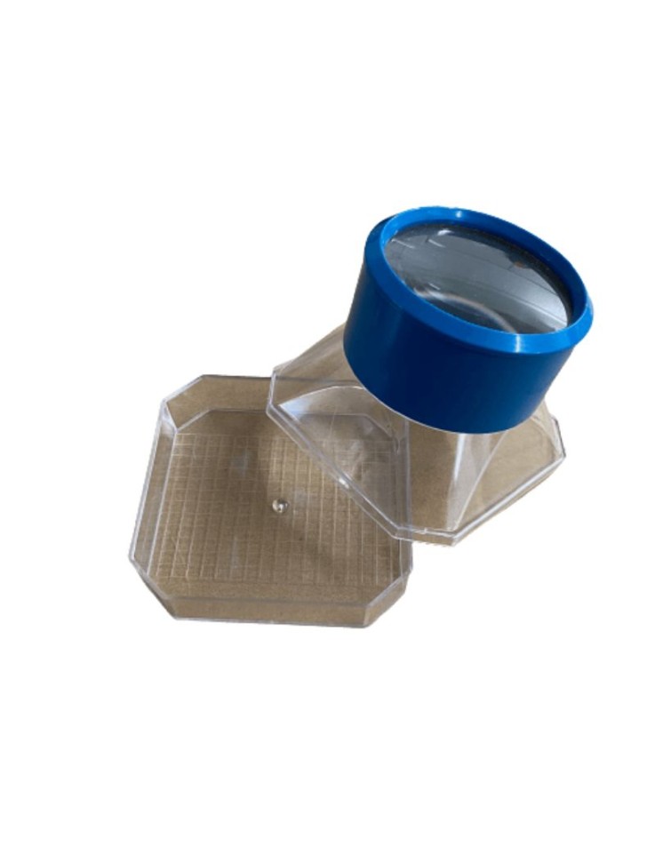 Insect Viewer Box with Magnifier & Measuring...