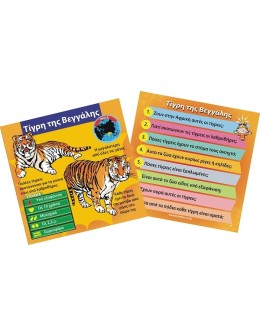 BrainBox: "Animals" - Greek Version