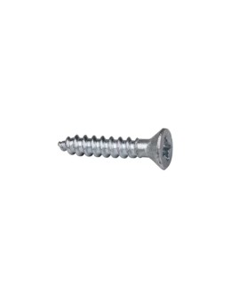 2 x 10mm Wood Screw