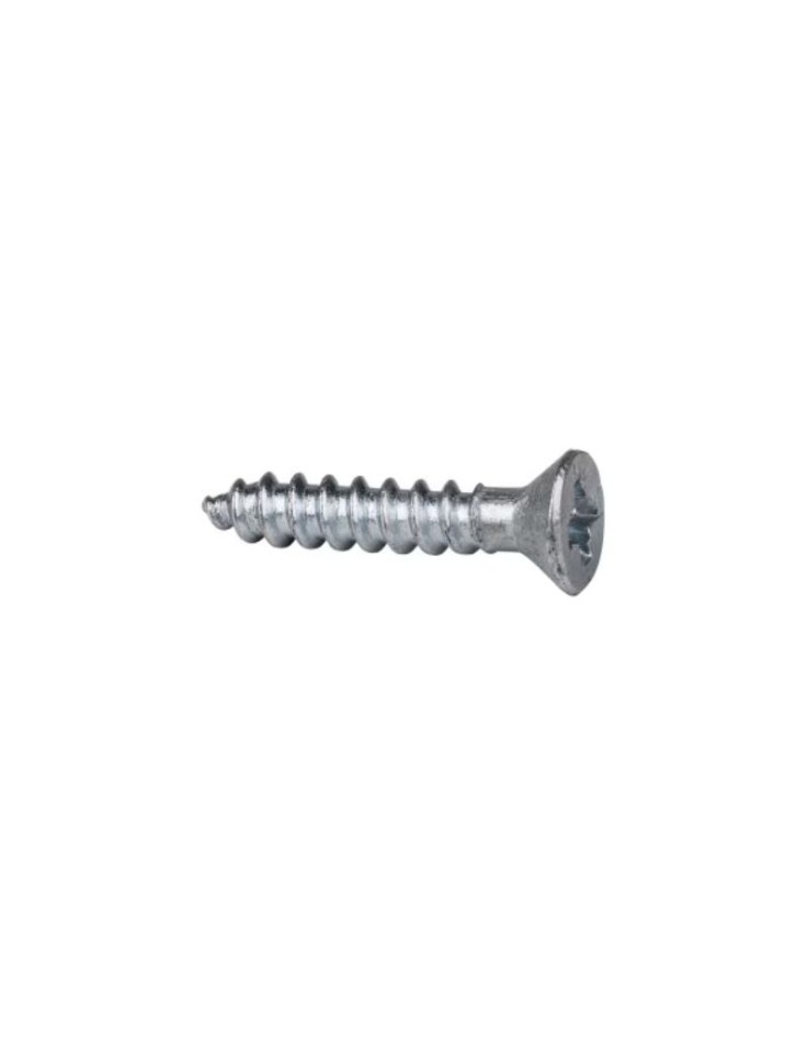2 x 10mm Wood Screw