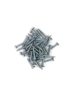 2.5 x 20mm Wood Screw
