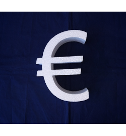 Polystyrene Euro Symbol Flat 20x5cm