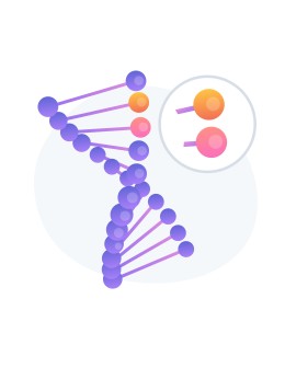 DNA Models
